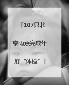 107只北京雨燕完成年度“体检”