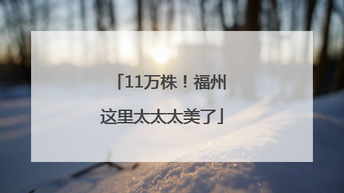 11万株！福州这里太太太美了