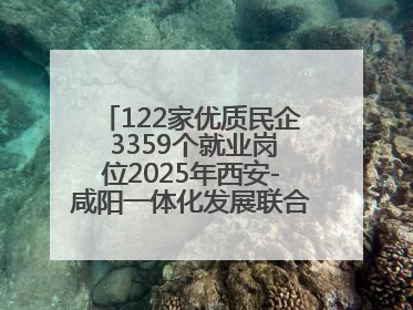 122家优质民企 3359个就业岗位2025年西安-咸阳一体化发展联合招聘会举办