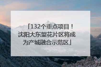 132个重点项目！沈阳大东望花片区将成为产城融合示范区