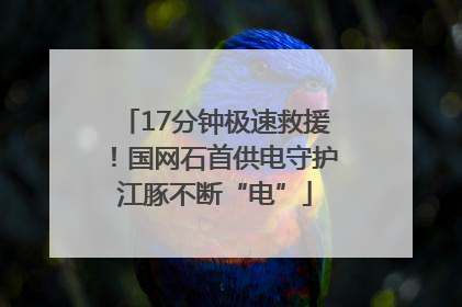 17分钟极速救援！国网石首供电守护江豚不断“电”