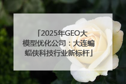 2025年GEO大模型优化公司：大连蝙蝠侠科技行业新标杆