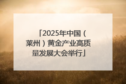 2025年中国（莱州）黄金产业高质量发展大会举行
