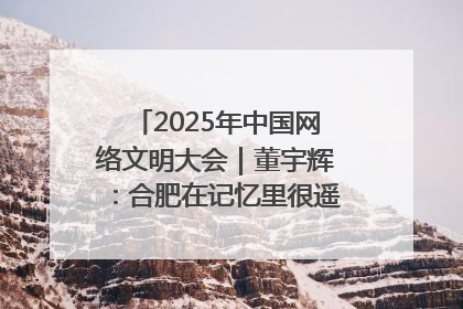 2025年中国网络文明大会｜董宇辉：合肥在记忆里很遥远也很亲切