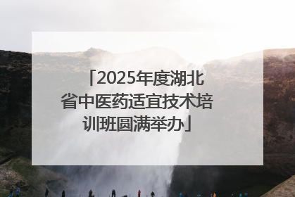 2025年度湖北省中医药适宜技术培训班圆满举办