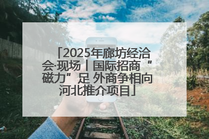 2025年廊坊经洽会·现场丨国际招商“磁力”足 外商争相向河北推介项目