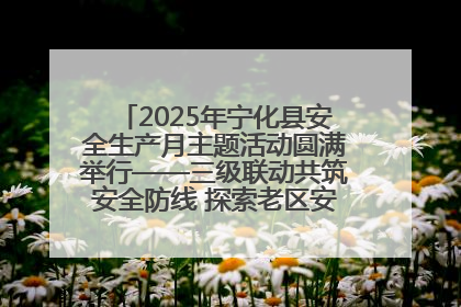 2025年宁化县安全生产月主题活动圆满举行——三级联动共筑安全防线 探索老区安全发展新路径