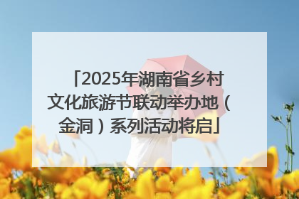 2025年湖南省乡村文化旅游节联动举办地（金洞）系列活动将启