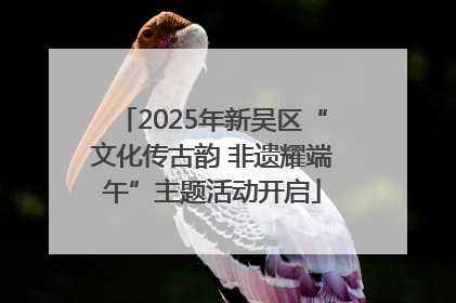 2025年新吴区“文化传古韵 非遗耀端午”主题活动开启