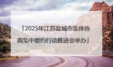 2025年江苏盐城市集体协商集中要约行动推进会举办