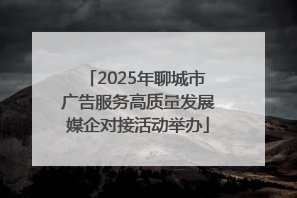 2025年聊城市广告服务高质量发展媒企对接活动举办