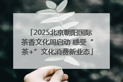 2025北京朝阳国际茶香文化周启动 感受“茶+”文化消费新业态