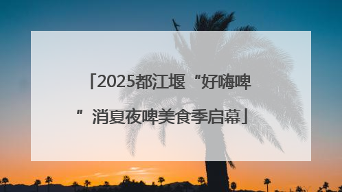 2025都江堰“好嗨啤”消夏夜啤美食季启幕