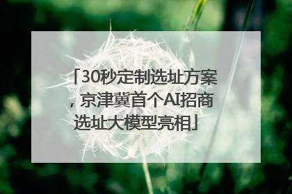 30秒定制选址方案，京津冀首个AI招商选址大模型亮相