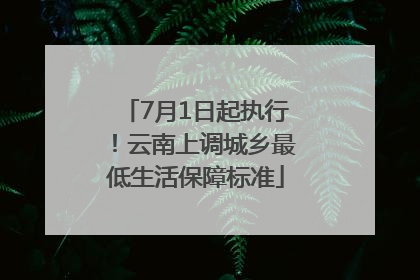 7月1日起执行！云南上调城乡最低生活保障标准