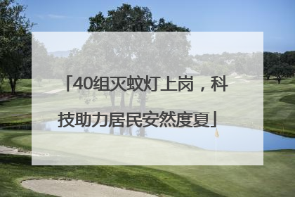 40组灭蚊灯上岗，科技助力居民安然度夏