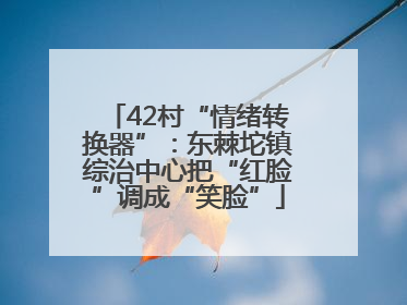 42村“情绪转换器”：东棘坨镇综治中心把“红脸”调成“笑脸”