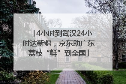 4小时到武汉24小时达新疆，京东助广东荔枝“鲜”到全国
