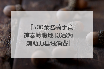 500余名骑手竞速秦岭腹地 以赛为媒助力县域消费