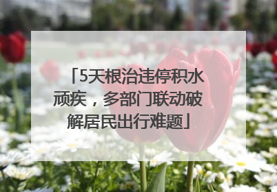 5天根治违停积水顽疾，多部门联动破解居民出行难题