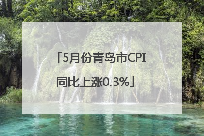 5月份青岛市CPI同比上涨0.3%