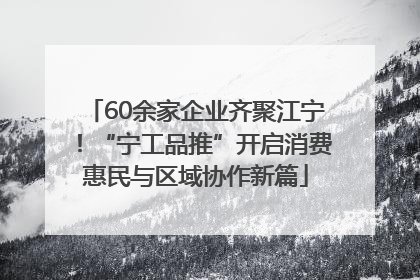 60余家企业齐聚江宁！“宁工品推”开启消费惠民与区域协作新篇