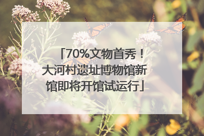 70%文物首秀！大河村遗址博物馆新馆即将开馆试运行