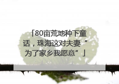 80亩荒地种下童话,珠海这对夫妻“为了家乡我愿意”
