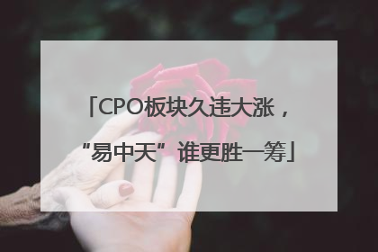 CPO板块久违大涨，“易中天”谁更胜一筹