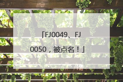 FJ0049、FJ0050，被点名！