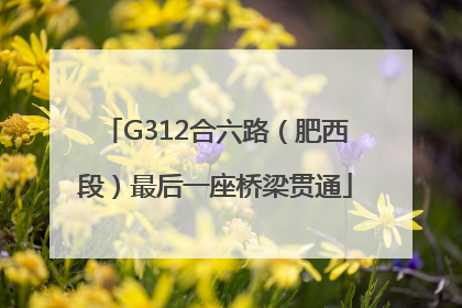 G312合六路（肥西段）最后一座桥梁贯通