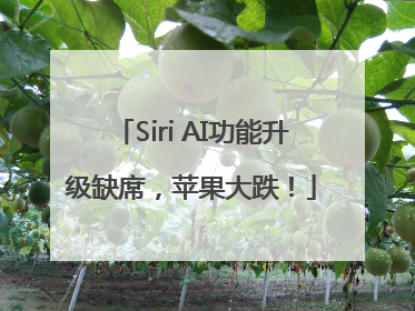 Siri AI功能升级缺席，苹果大跌！